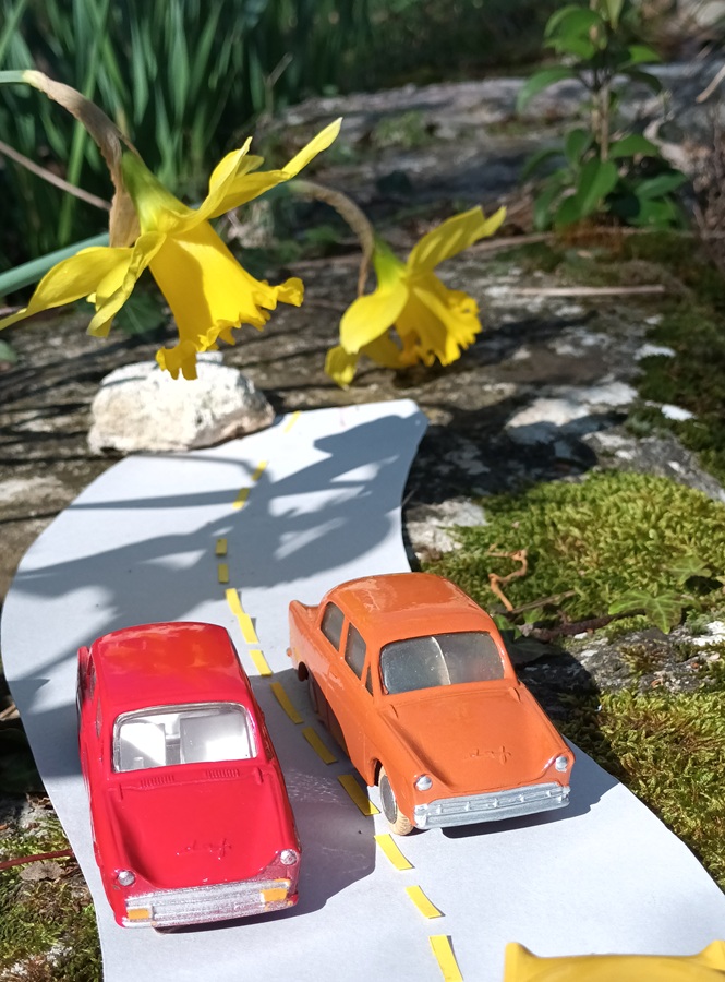 Daffodil 750 30 et 31